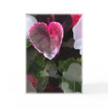 Dark Mirror Greeting Card