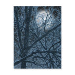 DARK MOON postcard