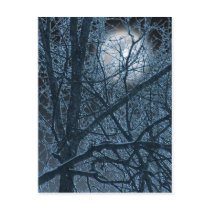 DARK MOON postcard