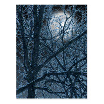 DARK MOON postcard postcards