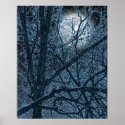 DARK MOON poster posters