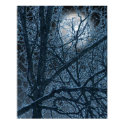 DARK MOON poster posters