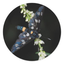 dark moth stickers