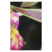 dark orchid stationery by roseroserose dark orchid stationery