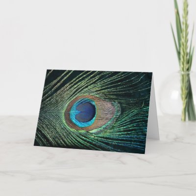 Dark Peacock Feather Greeting Card