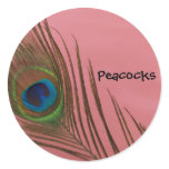 Dark Pink Peacock Feather Stickers