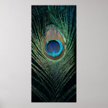 Dark Peacock Feather Still Life Print
