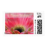 Dark pink Gerbera daisy Summer Wedding Postage