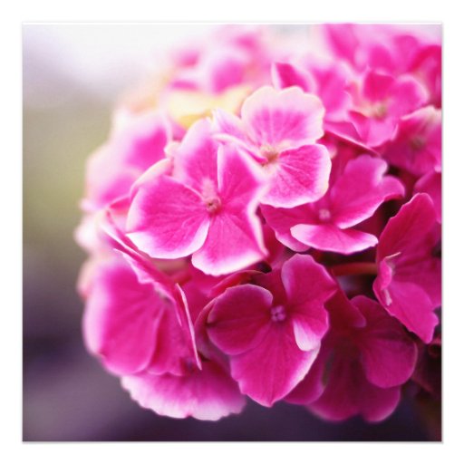 Dark Pink Hydrangea Bridal Shower Personalized Invite