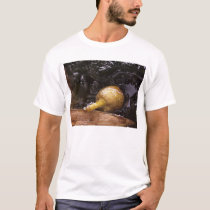 dark protector t-shirts
