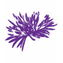 Dark Purple Mum t-shirts by knotth Dark Purple Mum t-shirts