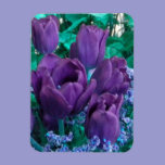 Dark Purple Tulips Fridge magnet premium magnets