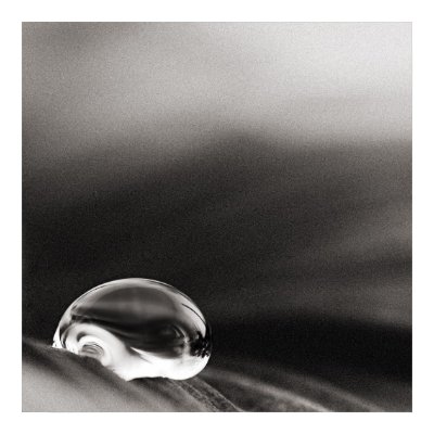 Dark Rain Poster by studioaraminta