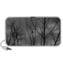Dark Raven iPod Speaker