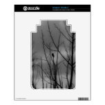 Dark Raven Kindle Skins