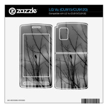 Dark Raven Skins For The LG Vu