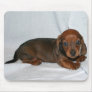 Dark Red Dachshund Puppy Mouse Mats