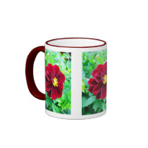 Dark red dahlia mugs