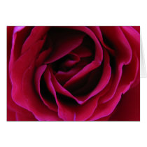 dark red rose cards by indoorgreenhouse dark red rose cards