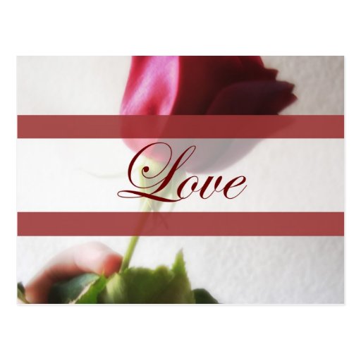 Dark Red Rose Temptation Love Wedding Post Card