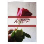 Dark Red Rose Temptation RSVP Wedding Card