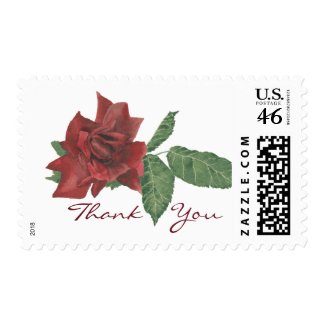 Dark Rose Thank You Postage stamp