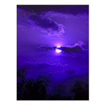 Dark Skies postcards