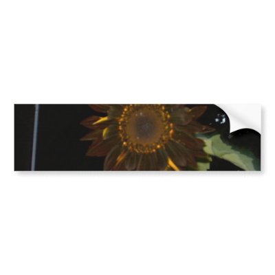 Dark Sunflower at Night Bumper sticker by Moondial