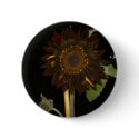 Dark Sunflower at Night buttons
