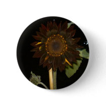 Dark Sunflower at Night buttons