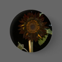 Dark Sunflower at Night buttons
