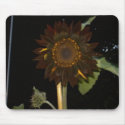 Dark Sunflower at Night mousepads