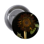 Dark Sunflower at Night Pins