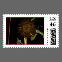 Dark Sunflower at Night stamps