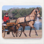 dark tan horse mouse pad