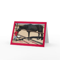 Dark Thoroughbred and Girl - Horse Lover Valentine Greeting Cards