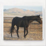 Dark Thoroughbred Horse Mouse Pad