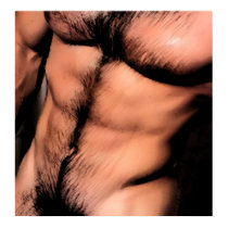 Dark Torso posters