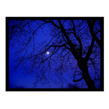 Dark Tree Postcard