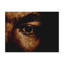 Dark Warrior Postcard