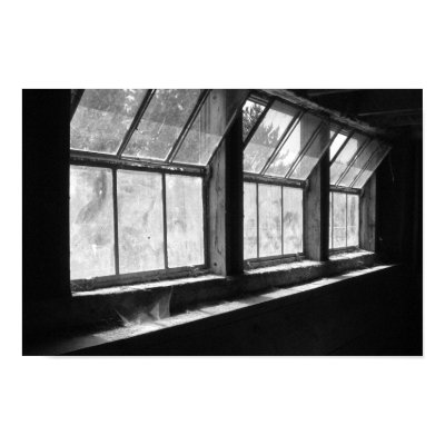 Dark Windows Posters by andychern