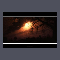 Dark Wings posters