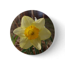 dark yellow daffodil buttons