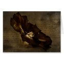 Darkened Hope cards