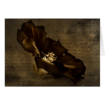 Darkened Hope cards