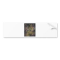 Darknes singing with piano!!! bumper sticker