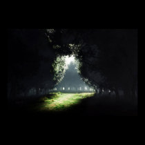 Darkness To Light posters