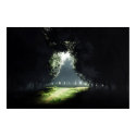 Darkness To Light posters