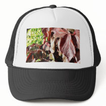 Darkred Colored Leaves hats