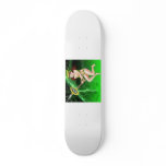 DarkRubyMoon Star Custom Skateboard